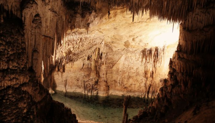 Increíbles Cuevas en Virginia Que Deberías Visitar